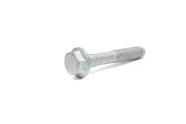 Bolt – M10x65