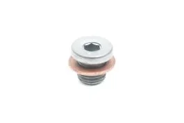 Drain Plug with Seal
