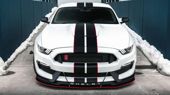 LiquiVinyl 2015-2020 Ford Mustang GT350 Front Splitter (OEM Bumper) Front Splitter