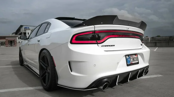 LiquiVinyl 2015-2023 Dodge Charger SRT Wickerbill