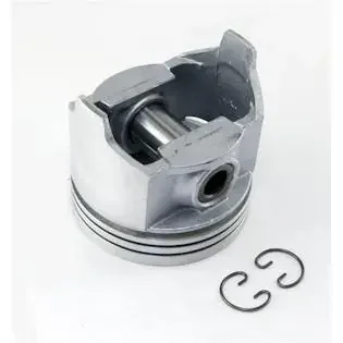 Omix-Ada 17427.22 Piston, .020, 4.2L