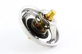 Thermostat for 2.5L